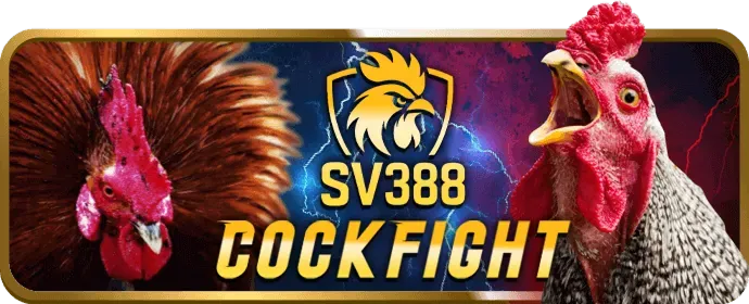 Hướng dẫn đăng nhập VB88 an toàn